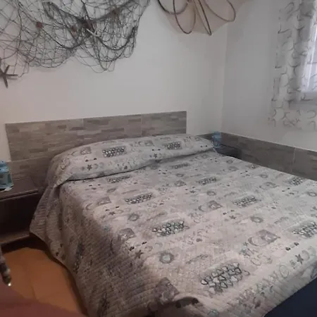 Tartaruga 3 *