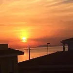 Tartaruga 3