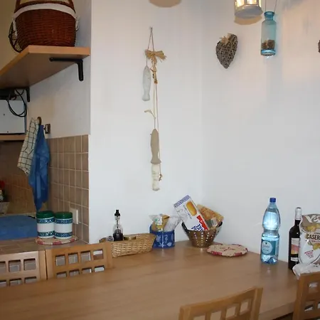Tartaruga 3