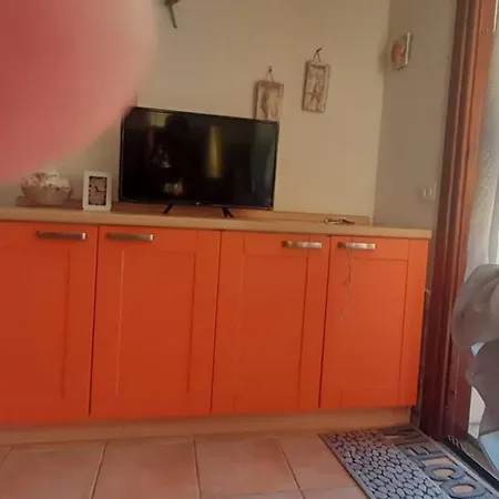 Tartaruga 3