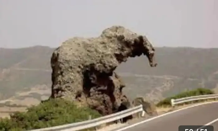 Apartament Tartaruga 3 *