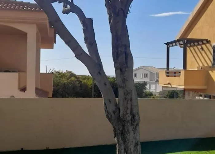 Tartaruga 3 * Castelsardo